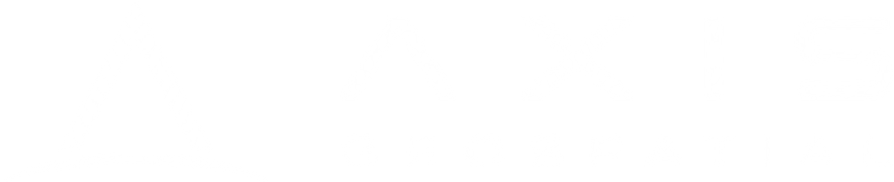 Axis Geospatial